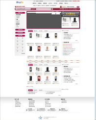 星輝互聯 打造全國知名的一站式互聯網服務解決方案