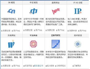 中國互聯網域名注冊服務 政策、發展與挑戰